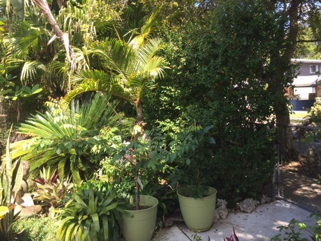 The Wild Rose Villa Miami Exterior photo